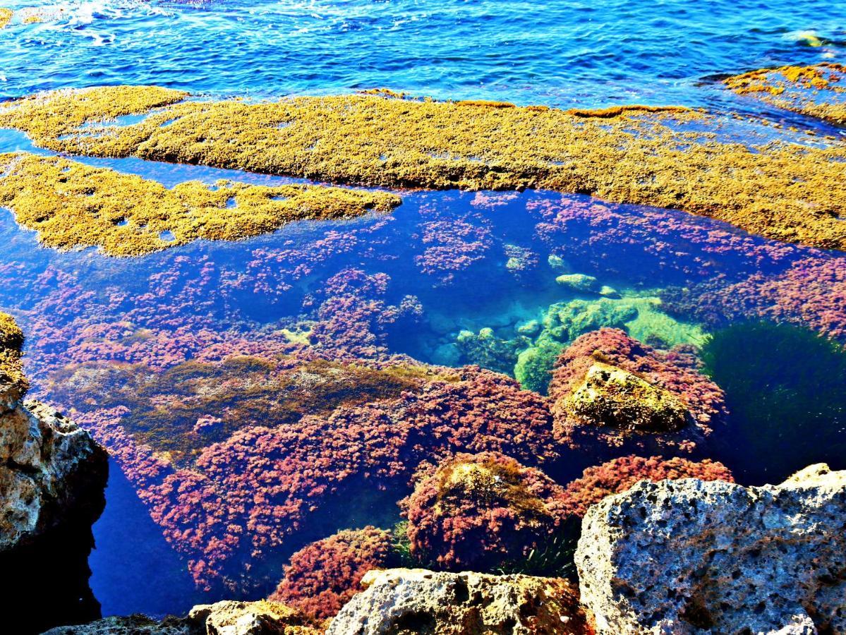 레알몬테 Anemone Della Scala Dei Turchi 아파트 외부 사진